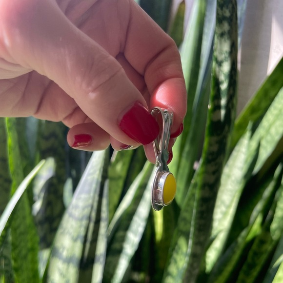 Jasper Money Clip Sterling Silver - Picture 5 of 10